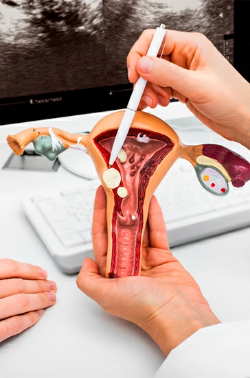 padecimientos ginecologicos